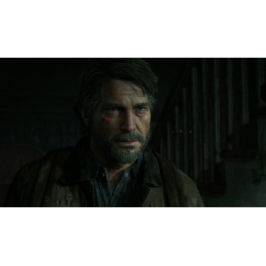 PS5/PS4 Одни из нас: Часть II (The Last of Us Part II)
