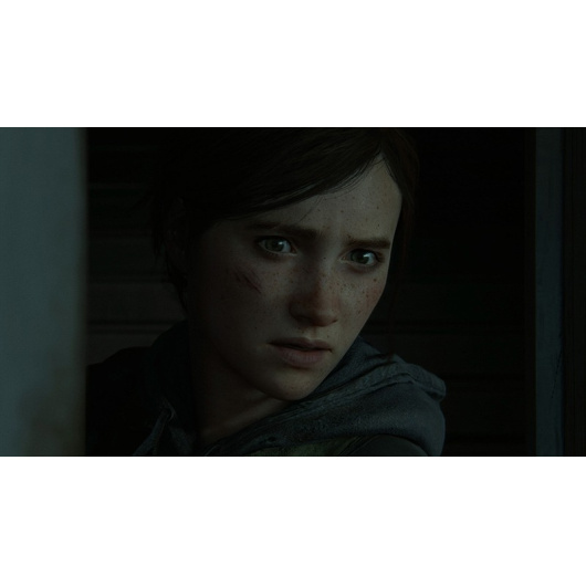 PS5/PS4 Одни из нас: Часть II (The Last of Us Part II)