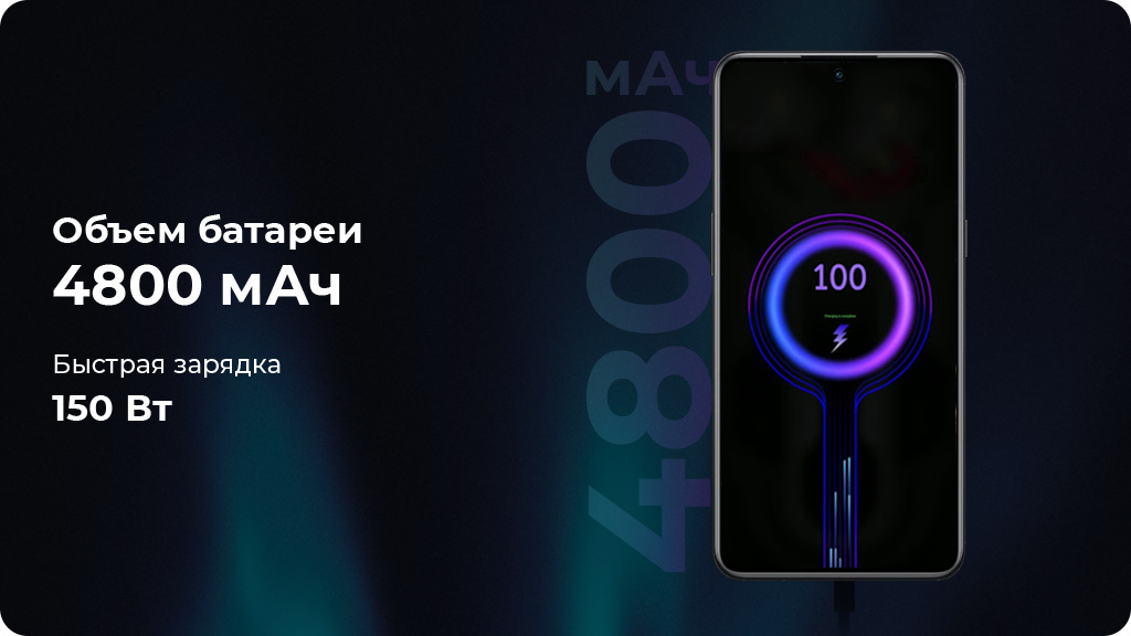 OnePlus Ace Pro 12/256Gb Черный